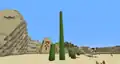A natural nineteen-block tall cactus.[7]
