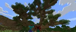 24w34a.jpg: Infobox image for Minecraft 24w34a the version in Minecraft