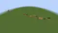 2 villages close to each other on superflat world.
