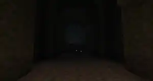 The location of the balls on the server.