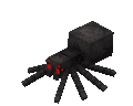 A spider's idle pose