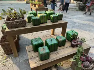 Beetroots in A Minecraft Movie.