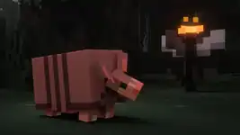 An armadillo looking at an eyeblossom.