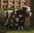 A cow as seen in A Minecraft Movie.