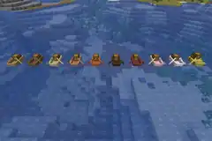 This photo shows all the types of boats with chests.