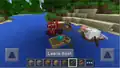 Image of the completed Bedrock Edition boats.