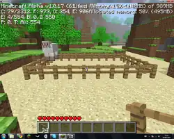 A sheep surrounded by fences.