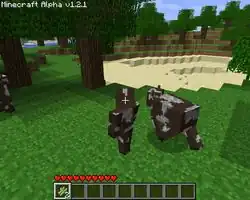 A player with a cow skin.