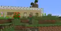 One of the villager skins (at the time, the nitwit was unimplemented)