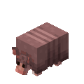 Rolling up (texture used in Bedrock Edition from preview 1.20.60.23 to 1.20.60.26)