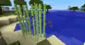 Some arrows stick into sugar canes. This no longer works since Java Edition Beta 1.6.