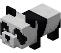 Baby Panda (Dungeons).png: Infobox image for Panda the dungeons entity in Minecraft