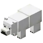 Baby Polar Bear.png: Infobox image for Polar Bear the entity in Minecraft