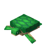 Baby Turtle Idle (Dungeons).gif: Infobox image for Turtle the dungeons entity in Minecraft