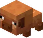 Baby Warm Pig.png: Infobox image for Pig the entity in Minecraft