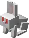 Baby White Rabbit.png: Infobox image for Rabbit the entity in Minecraft
