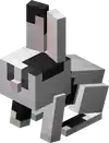 Baby White Splotched Rabbit.png: Infobox image for Rabbit the entity in Minecraft