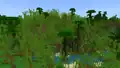 A bamboo jungle hills biome in Bedrock Edition.