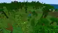 A bamboo jungle before 1.18.