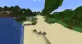 Beach biome.