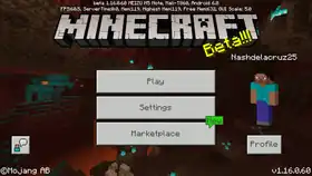 Bedrock 1.16.0.60.png: Infobox image for beta 1.16.0.60 the version in Minecraft