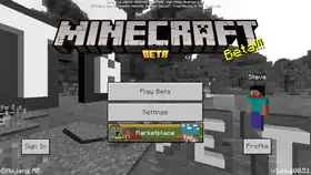 Bedrock 1.16.200.51.png: Infobox image for beta 1.16.200.51 the version in Minecraft