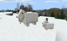 Bedrock 1.16.210.51 PatchNotes.jpg: Infobox image for beta 1.16.210.51 the version in Minecraft