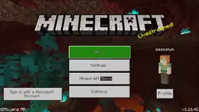 Bedrock 1.16.42.png: Infobox image for v1.16.42 the version in Minecraft