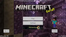 Bedrock 1.17.20.22 (updated logo).png: Infobox image for beta 1.17.20.22 the version in Minecraft