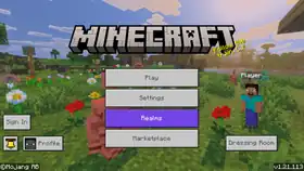 Bedrock 1.21.113.png: Infobox image for v1.21.113 the version in Minecraft