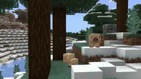 Bedrock 1.21.60.25 PatchNotes.jpg: Infobox image for Preview 1.21.60.25 the version in Minecraft