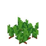 Beetroots Age 2.png: Infobox image for Beetroot Seeds the block in Minecraft