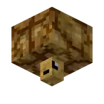 Big Brain (S) (facing NWU).png: Infobox image for Big Brain the block in Minecraft