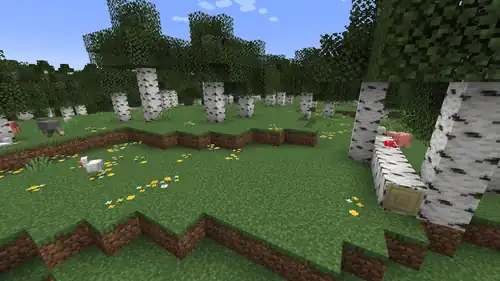 Birch Forest.png: Infobox image for Birch Forest the biome in Minecraft