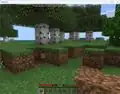 Grass blocks in a birch forest.