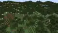 A birch forest single biome world before 1.18.