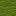 BlockSprite green-wool.png: Sprite image for green-wool in Minecraft