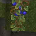 Blue Berries.png: Infobox image for Blue Berries the object in Minecraft