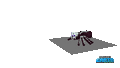 Bone spider attack animation.