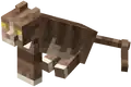 Brown Tabby (Dungeons).png: Infobox image for Brown Tabby the dungeons entity in Minecraft
