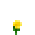 The buttercup texture