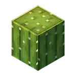 Cactus (inventory) MCE.png: Infobox image for Cactus the block in Minecraft