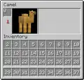Camel slots