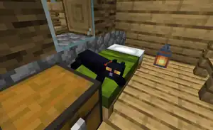 A tamed cat lying on a bed.