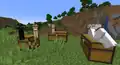 Tamed cats sitting on chests.