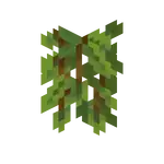 Cave Vines (head).png: Infobox image for Glow Berries the block in Minecraft