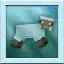 Submerged sheep