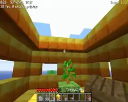 Inside gold house, taken from a frame of a video