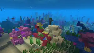 A coral reef at night, in a warm ocean biome.