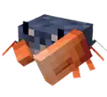 Early development model and texture of the crab.